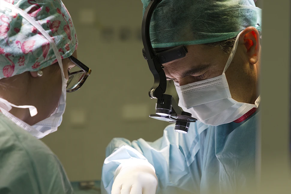 Rinoplastia para giba dorsal y punta caída: cómo armonizar los dos problemas más comunes de la nariz española